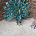 Georgette Bininga Profile Picture