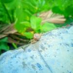 Arpita islam Profile Picture