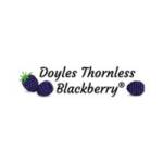 Doyle's Blackberry Inc. Profile Picture