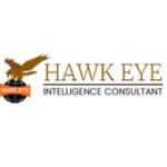 Hawkeye Detective Profile Picture