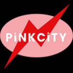 PINK CITY MEP CONTRACTOR IN DUBAI Profile Picture
