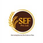 Shah Enterprises Profile Picture