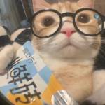 Herman Thomas Profile Picture