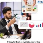 Prilient Technologies Profile Picture