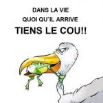 Sergio Mansour Profile Picture