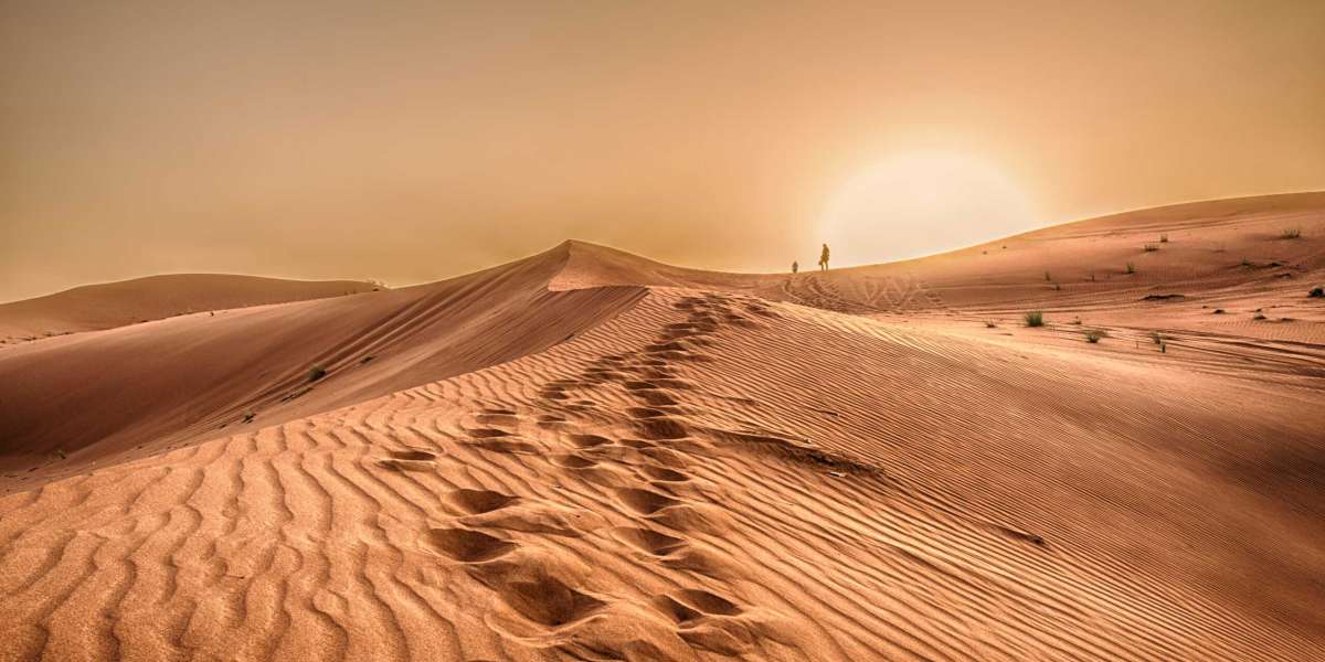 Exploring Technology, Travel, and Unforgettable Experiences
