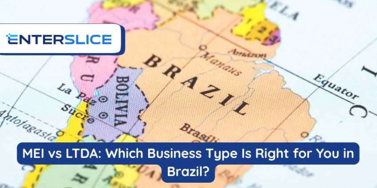 MEI vs LTDA: Which Business Type Is Right for You in Brazil?