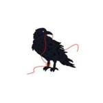 Blackbird Knitting & Needlework Profile Picture