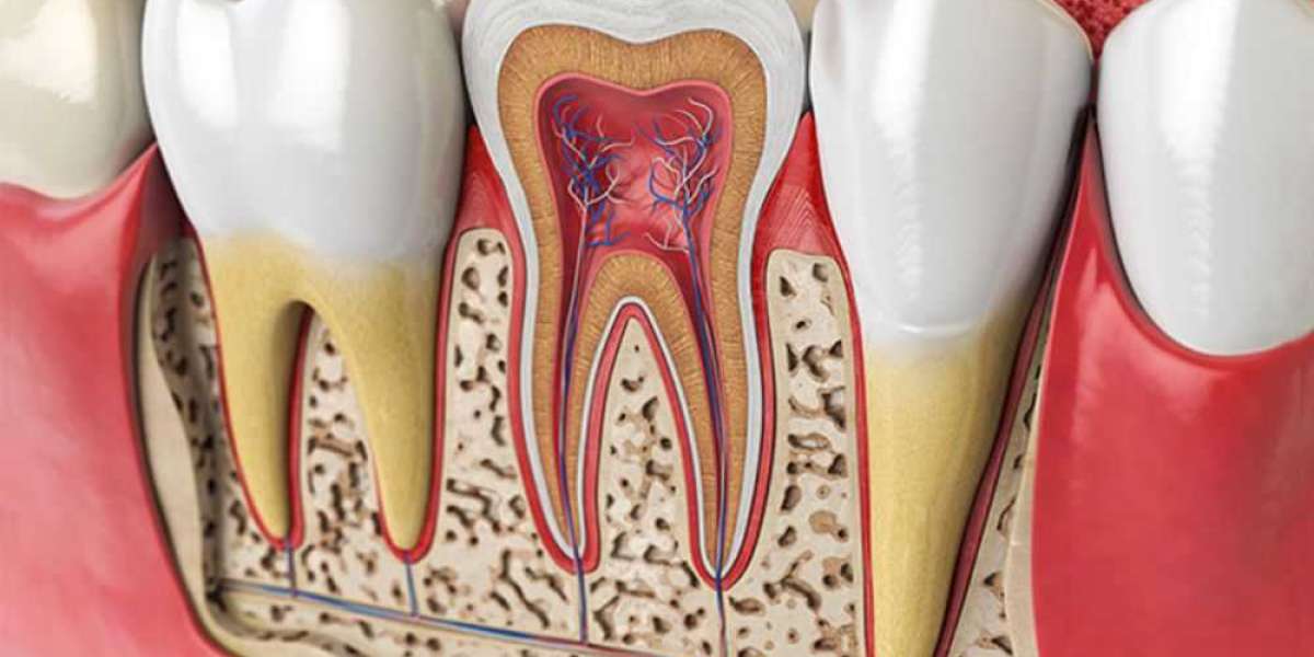 Scarborough’s Leading 24-Hour Emergency Dental Clinic – markhamgatewaydentistry