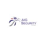 AIG Security Profile Picture