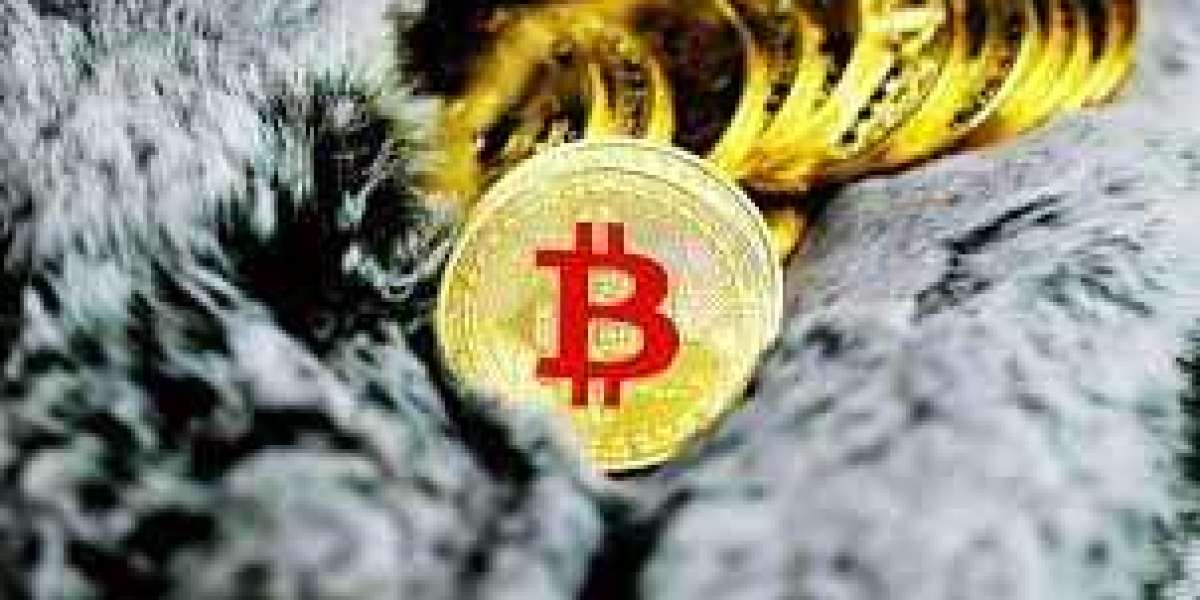 Article Picture