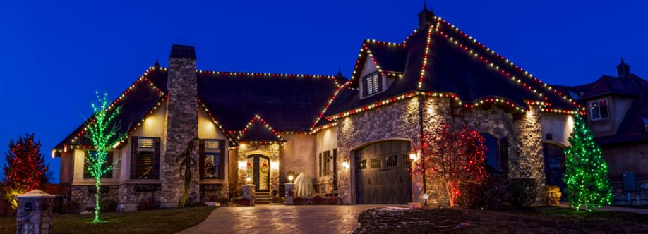 Elf Pros Cover Image