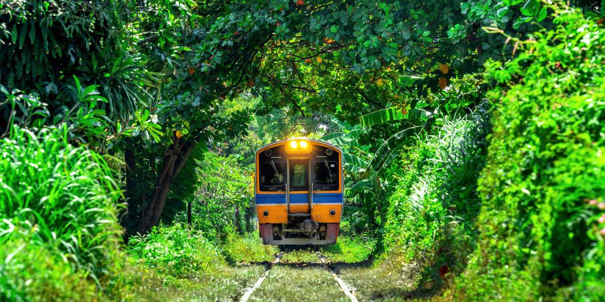 7 Most Beautiful Train Journeys in Sri Lanka