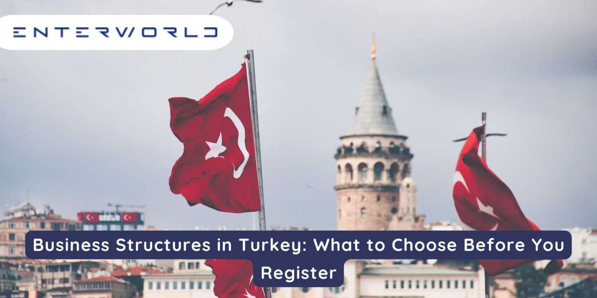 Business Structures in Turkey: What to Choose Before You Register
