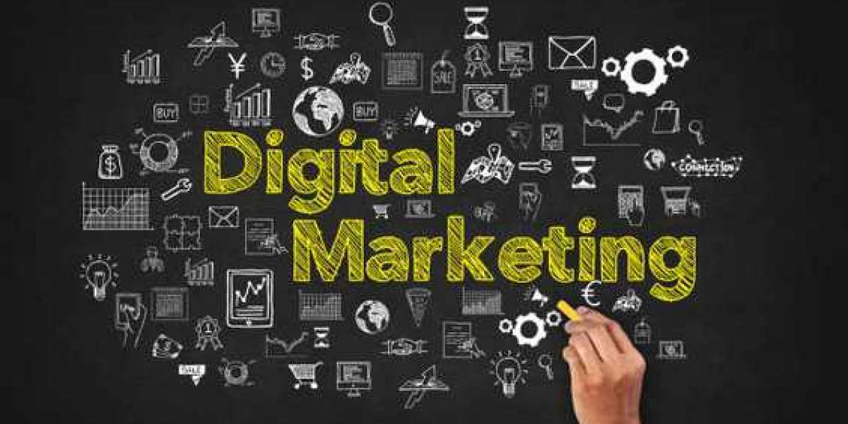 Digital Marketing Agency in Delhi: A Smart Choice for Modern Businesses?