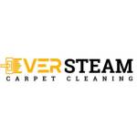 EVER STEAM CARPET Profile Picture