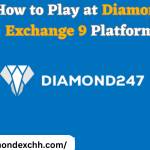 daimondexch9s daimondexch Profile Picture