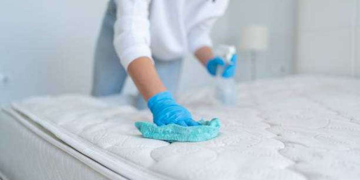 Eco-Friendly Upholstery Cleaning | A Healthier Choice for Your Home