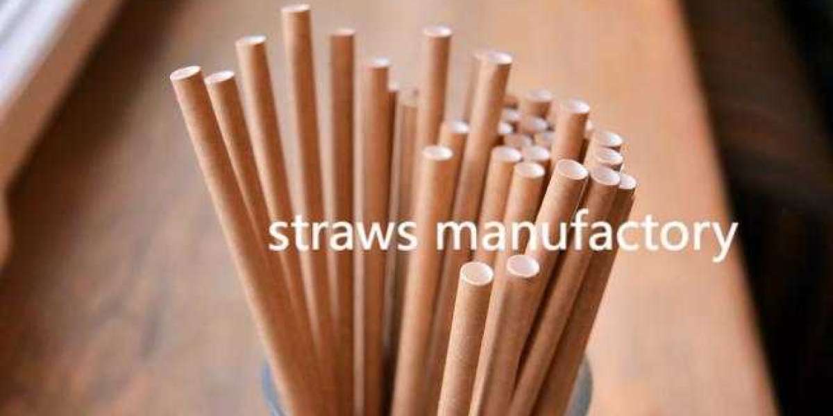 Soton Straws Pioneering Customizable Eco Solutions for Lifestyle Integration