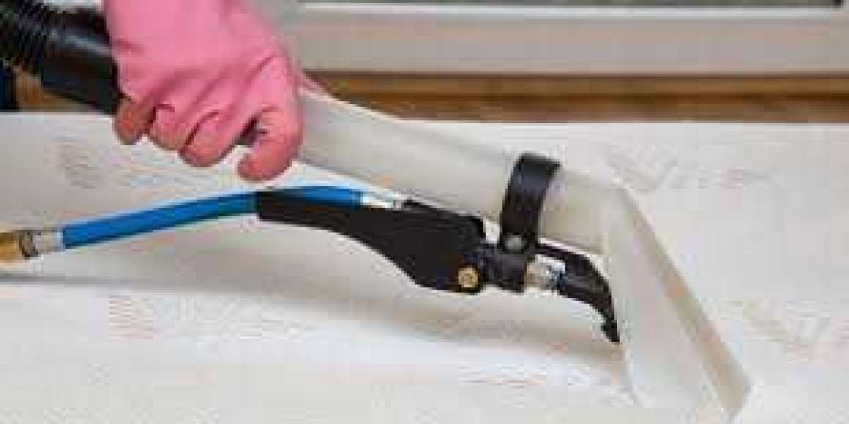 How to Identify the Right Odor Removal Service Fast