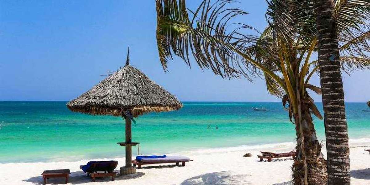 Unforgettable Dubai: Tour Packages That Bring You Closer to the City