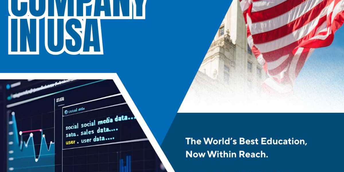 Best SEO Services in USA: Why SEO Digital Sight Leads the Way