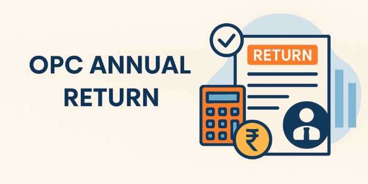 OPC Annual Return Filing in India: A Complete Guide for One Person Companies
