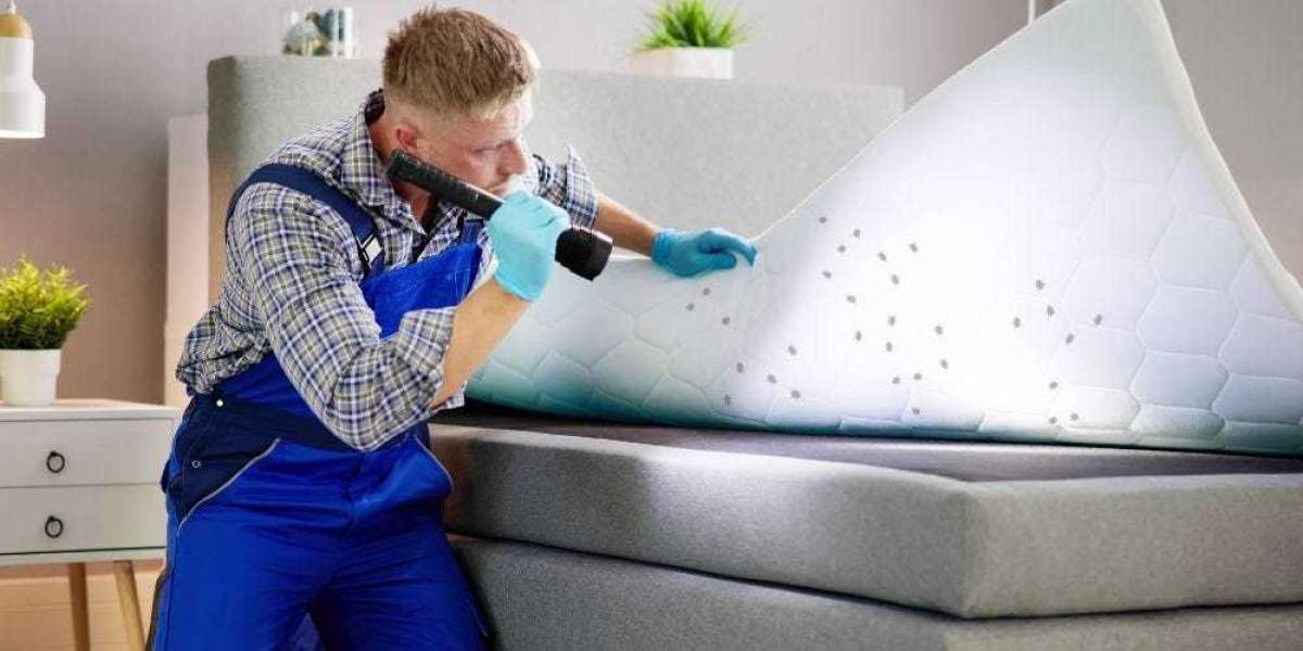 Restoring Comfort at Home with Expert Bed Bug Extermination in Hanover, IL