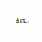 Leaf Culture Profile Picture