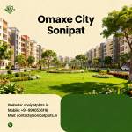 plot insonipat Profile Picture
