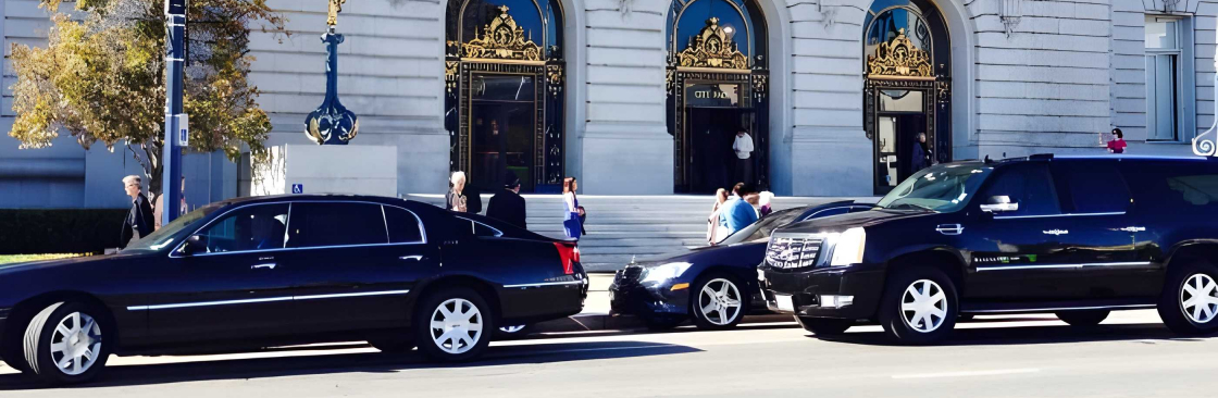 Elite Limousine Inc Cover Image