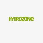 Hydrozone hydrozone Profile Picture