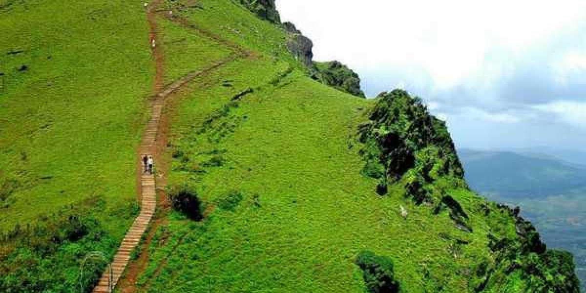 Car hire in Chikmagalur