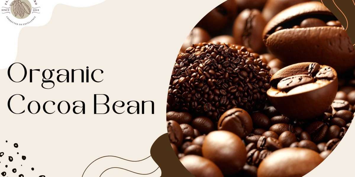Why Chocolate Makers Prefer Faustin Great Agro’s Organic Cocoa Bean