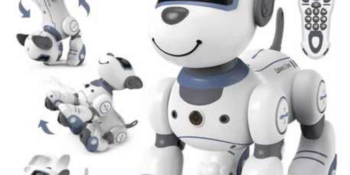 Robot Dog: The Next-Gen Companion You Didn’t Know You Needed — Available at PUZB