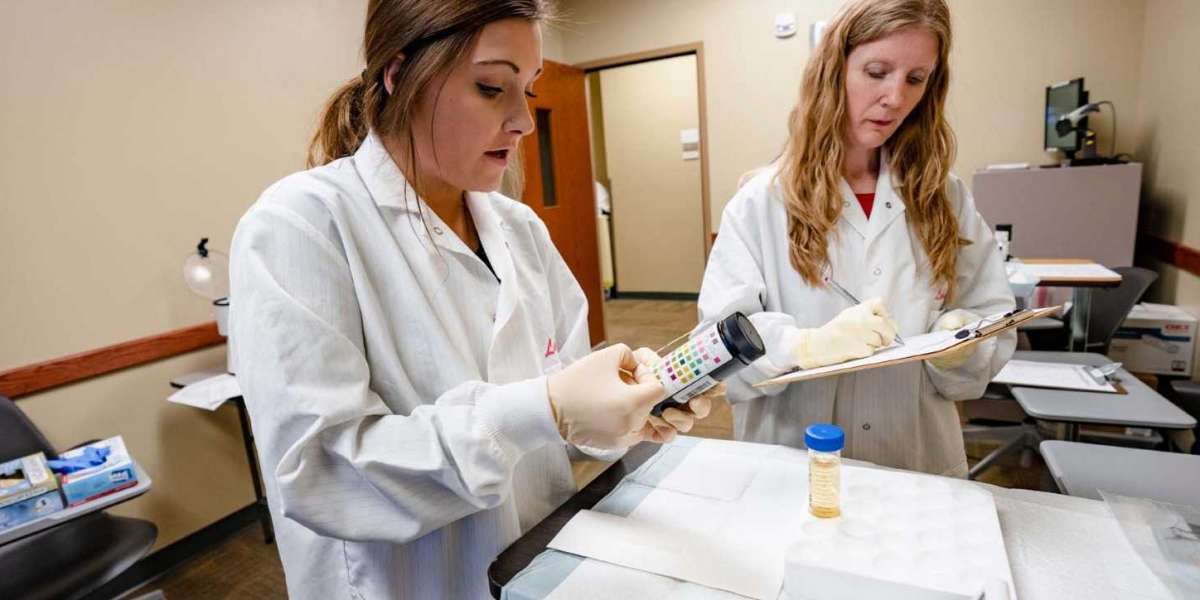 Pioneering Excellence in Animal Health: Your Guide to the Doctor of Veterinary Medicine at the Best University in Multan