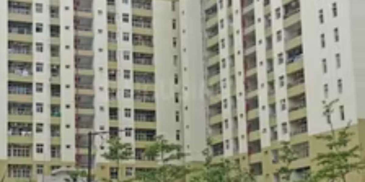Article Picture