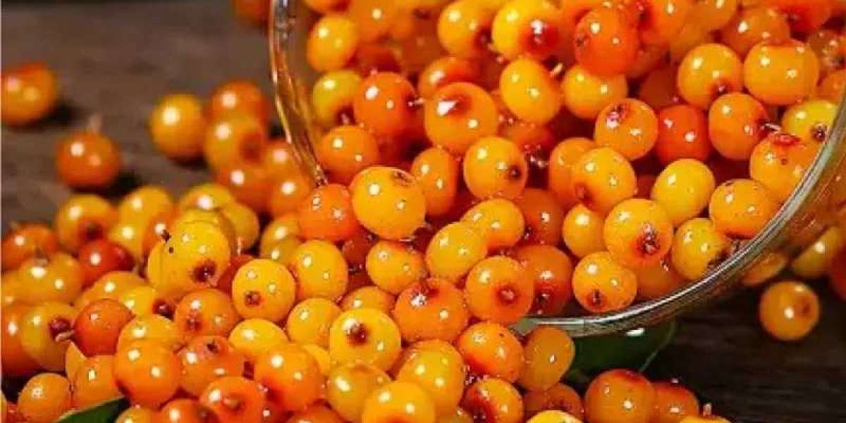 What Makes Youhero’s Sea Buckthorn Juice Stand Out From Competitors?