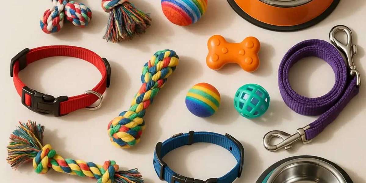 Der Trend zum Tierbedarf online: Bequemlichkeit und Vielfalt für Tierliebhaber