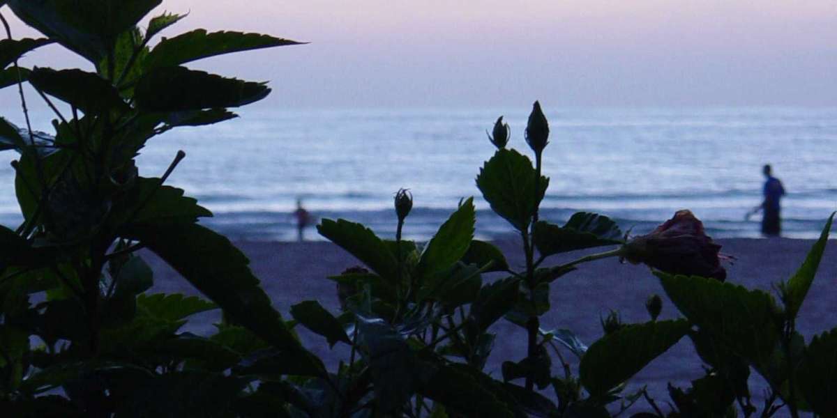 Bonuses, Games, Fast Payouts