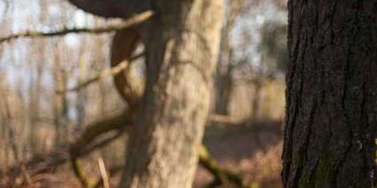 Crown Coins Social Casino Review Rating & Verdict