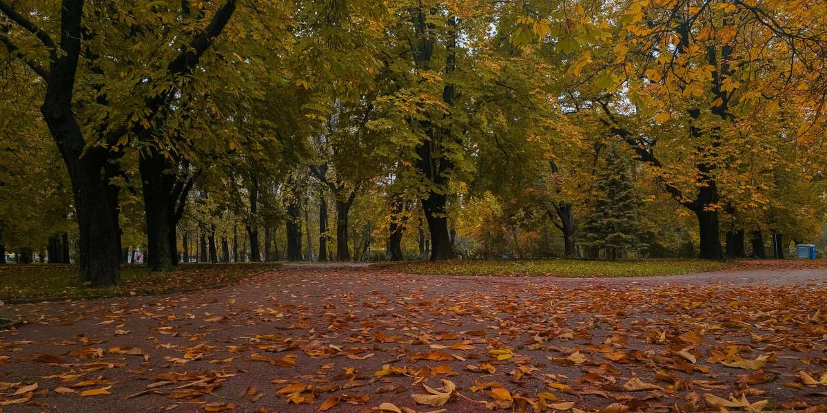 Why Gnawed Rib Is So Valuable in PoE 2