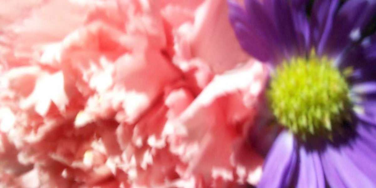 Crown Coins Casino Review 75 SC + 1 5M CC Bonus