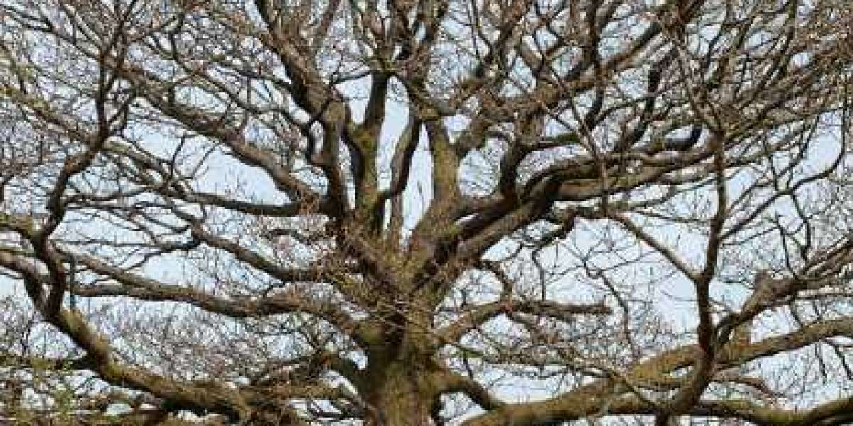 Best Online Casinos in Australia 2025 Safe & Trusted Sites