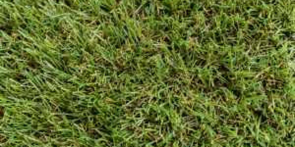 Breaking Down the Cost: Price of Artificial Grass Per Square Metre and Installation Price Explained
