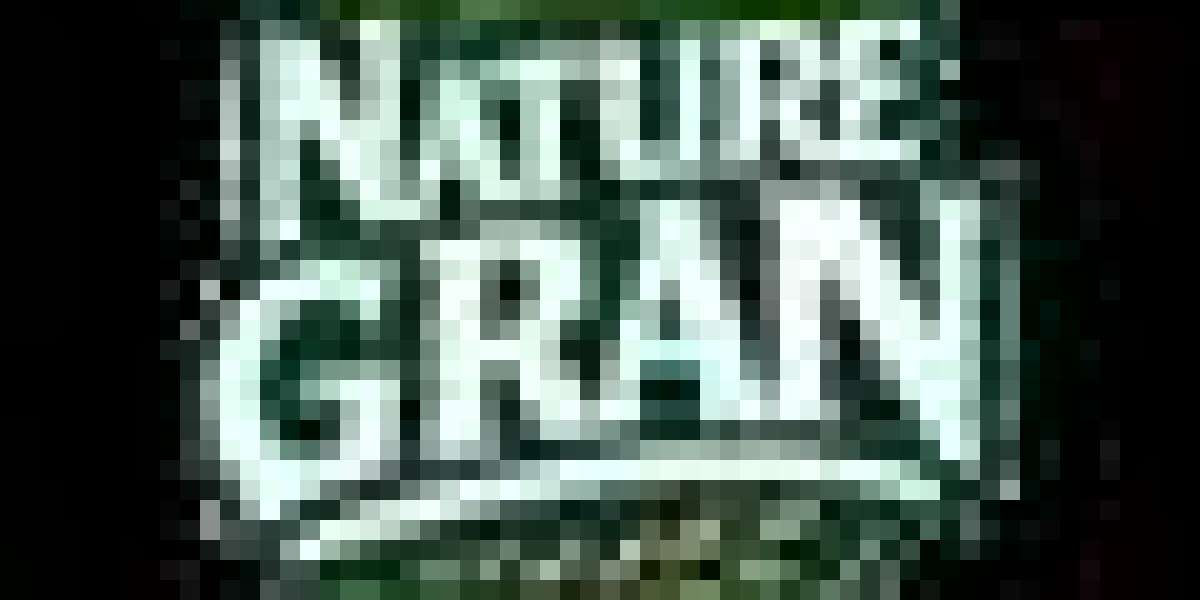 Nature Gran: Your Everyday Destination for Smarter, Healthier Snacking in Pakistan