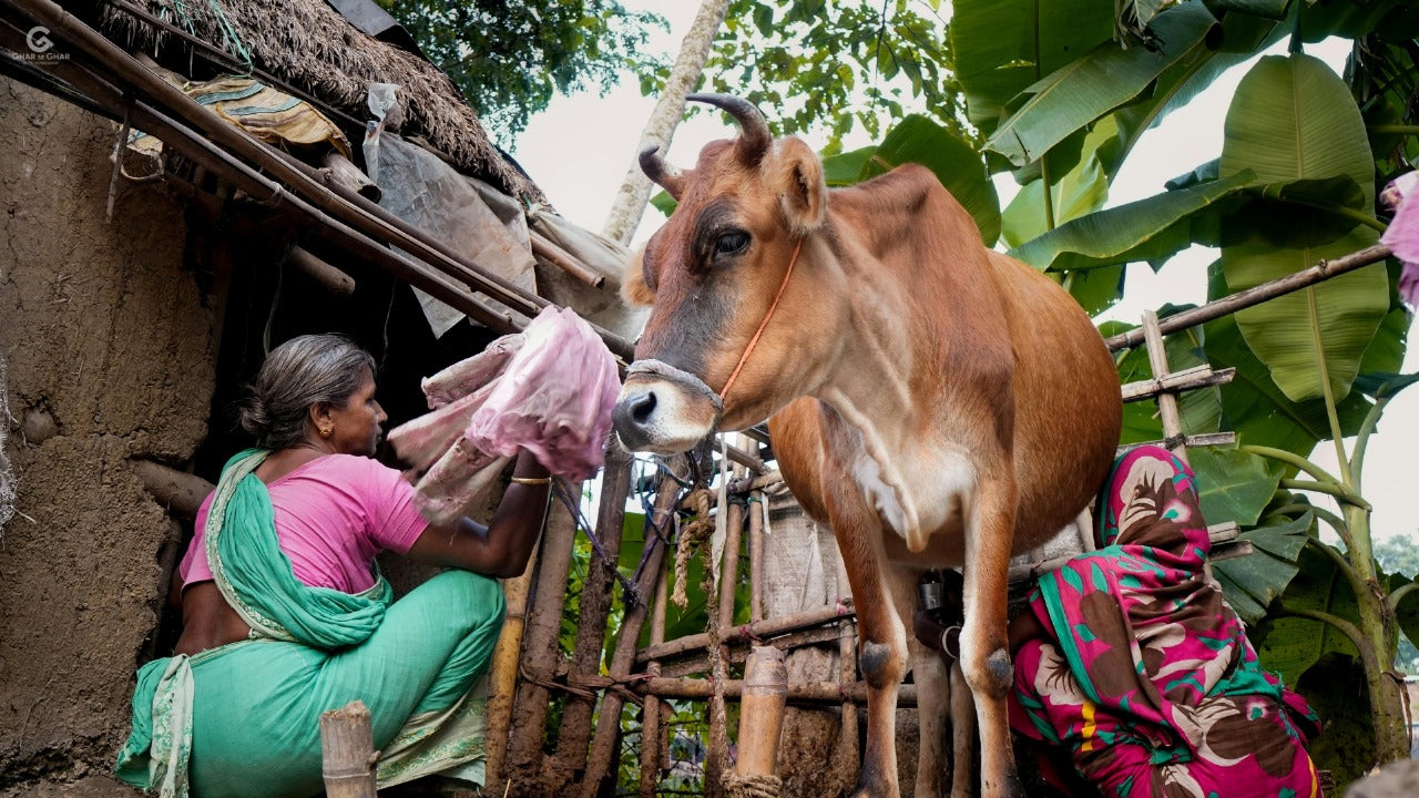 Desi Cow Ghee: Purity, Health & Tradition (GharSeGhar)  – GharseGhar