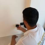 sangging inspection Profile Picture