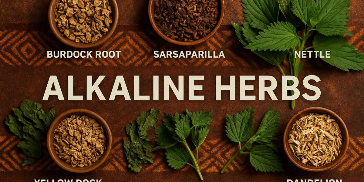A Complete Guide to Vegan Choice Foods and the Power of Alkaline Herbs