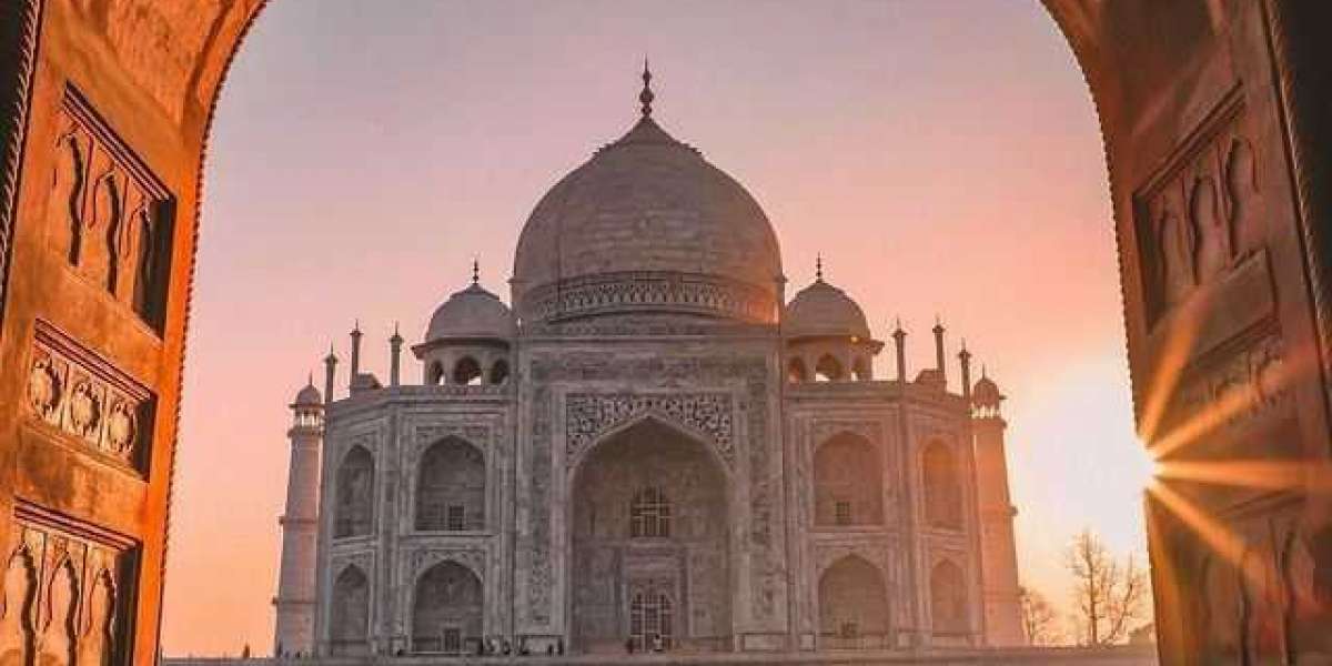 TripTajMahal – Professional Taj Mahal Tour Operator Delivering Memorable Agra Experiences